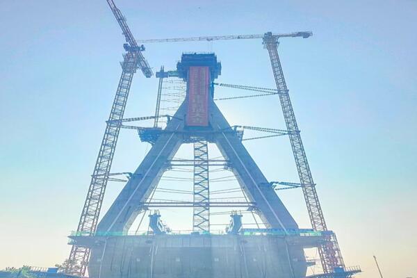 1627957592137503.jpg 1.jpg