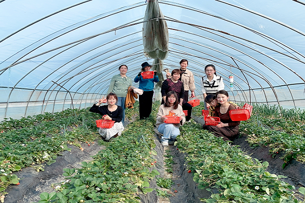 圖片1.png 圖片1.png